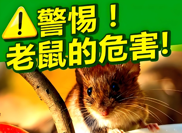 微信截图_20250821110849.png